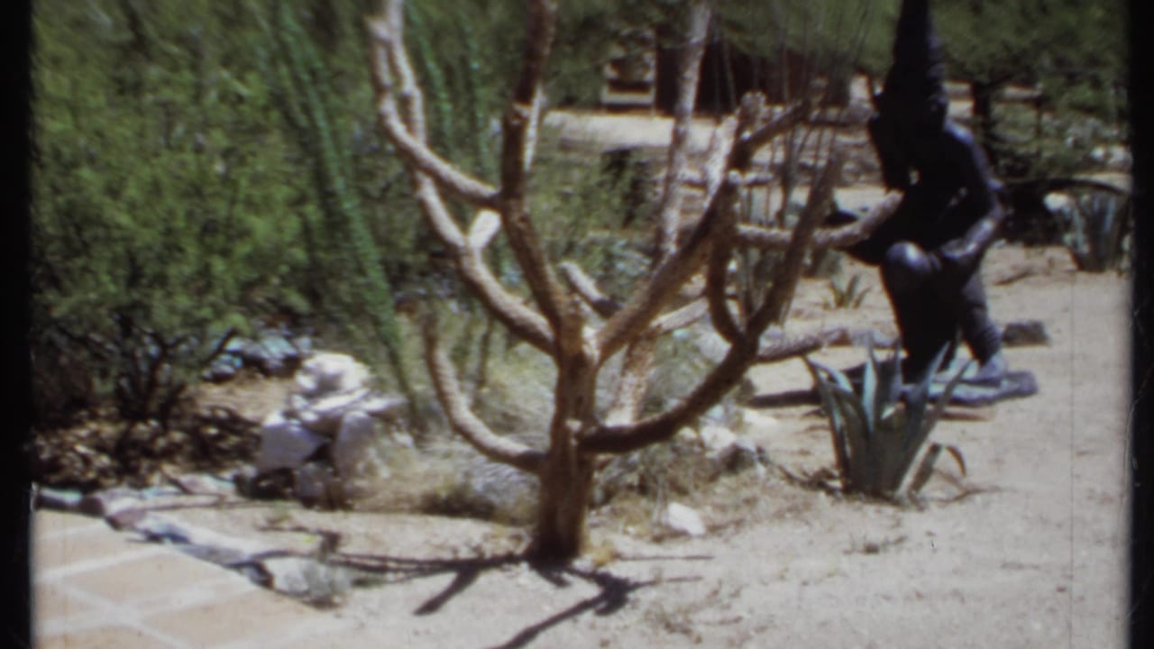 Black metal garden statue beside a bare tree, agave plants, rocks, and sandy desert path.