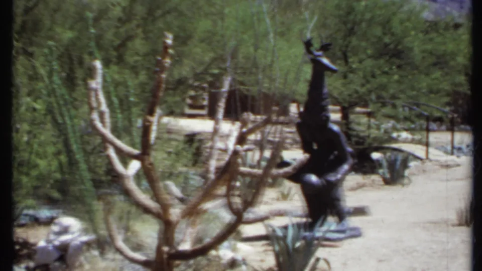 1971 California desert garden view with a black metal figure statue, bare tree branches, agave, shrubs, sandy path, and rustic railing.