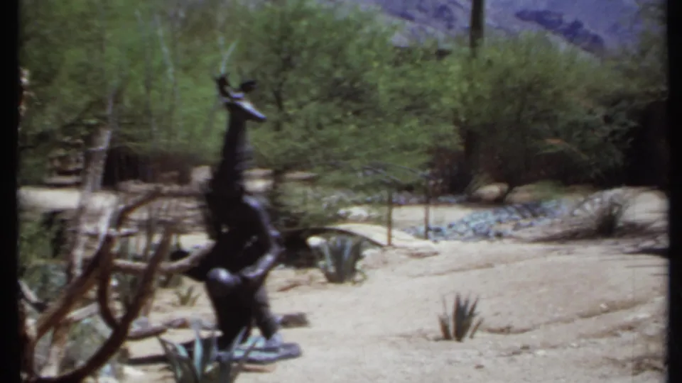 1971 California 8mm frame of a black garden statue beside a sandy path, with agave, bare branches, shrubs, rocks, and distant hills.