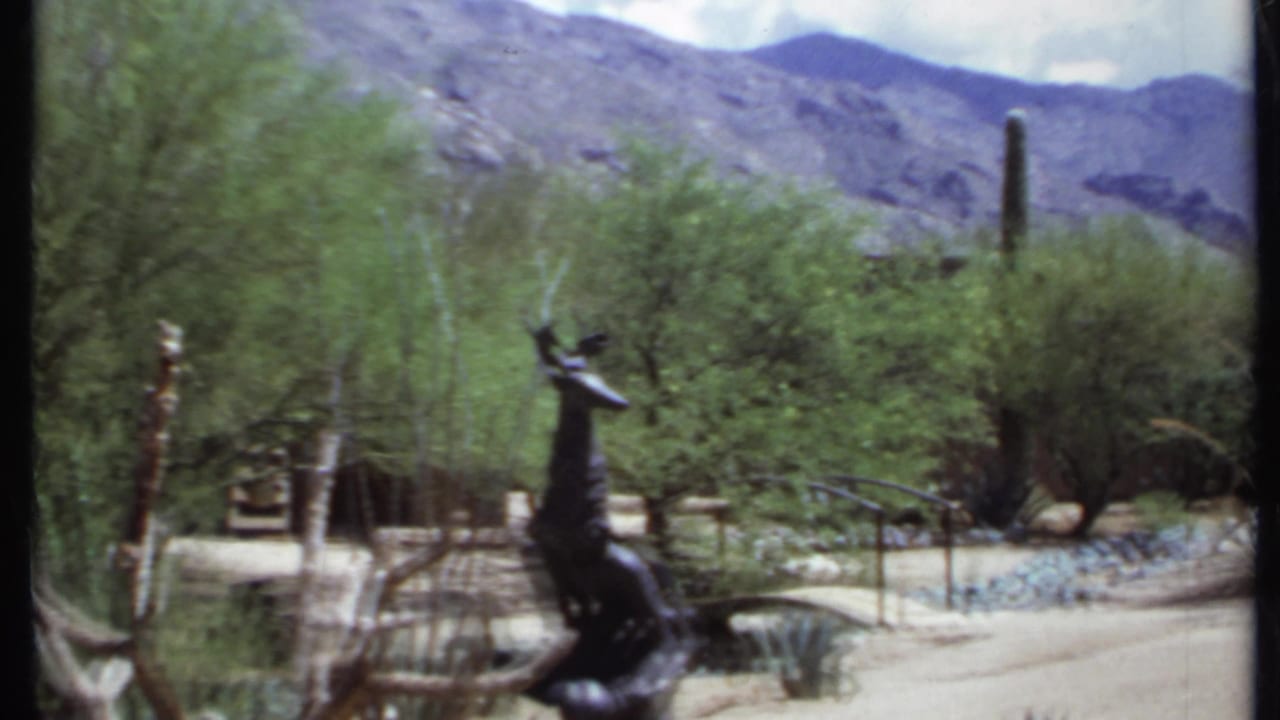 Desert ranch grounds with trees, cactus, mountains, fencing, and a dark animal statue.