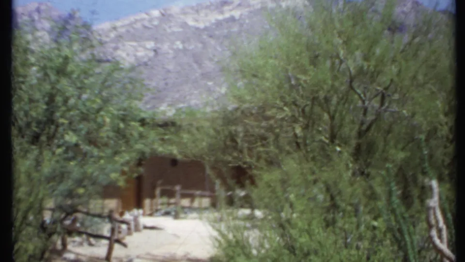 1971 California home-movie frame looking through dense ranch vegetation toward a low building, fencing, cactus, sandy ground, and mountains.