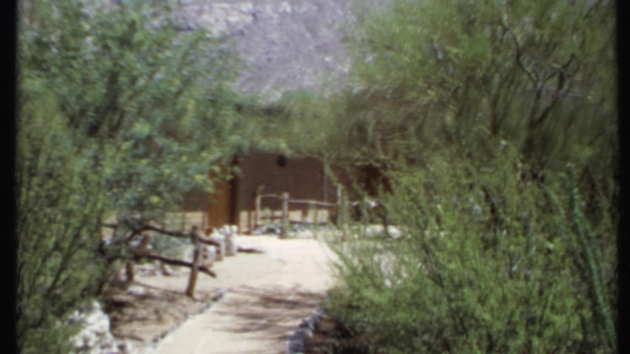 Dirt path leading through green desert trees toward an adobe-style building and rustic fence.