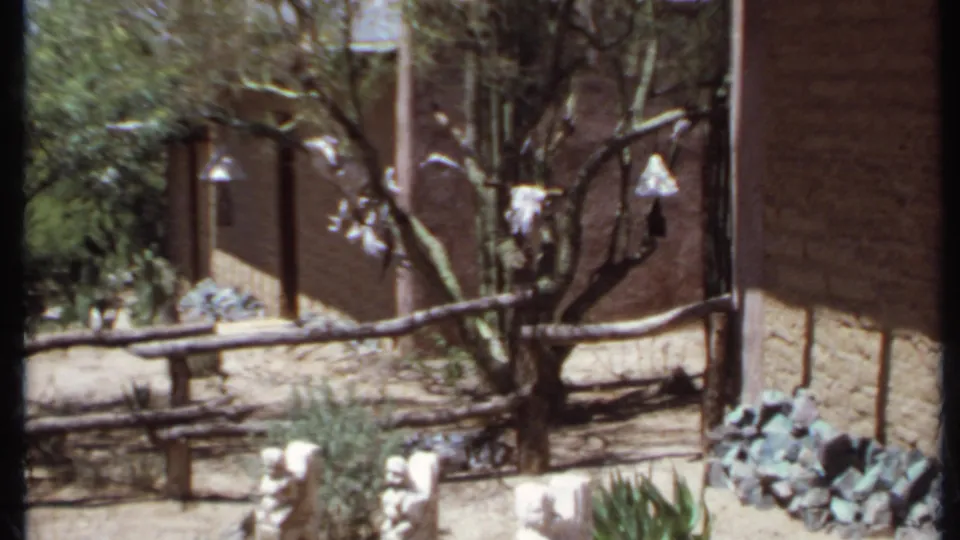 1971 California 8mm frame showing a dry landscaped yard with an adobe-style wall, desert tree, rustic fence, rocks, cacti, and stone sculptures.