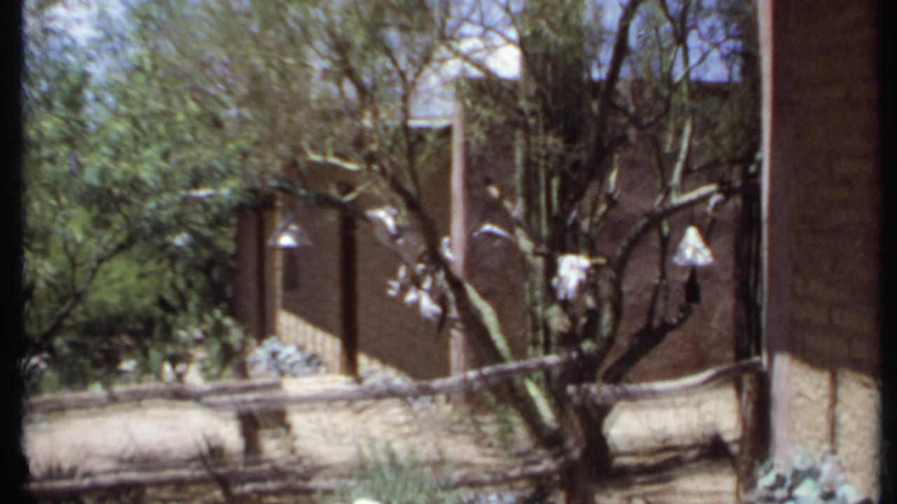 Rustic adobe-style wall, dry ground, trees, fence, and small hanging ornaments in an outdoor garden area.