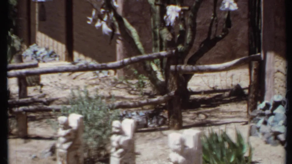 1971 California 8mm view of a dry outdoor statue area with concrete figures, shrubs, tree branches, rustic fencing, and an adobe-style building.