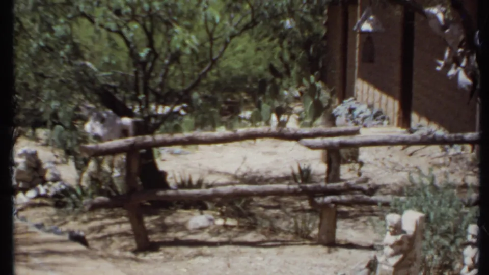 1971 California home-movie frame of a log fence in a dry landscaped area with trees, cactus, rocks, and an adobe-style wall at right.