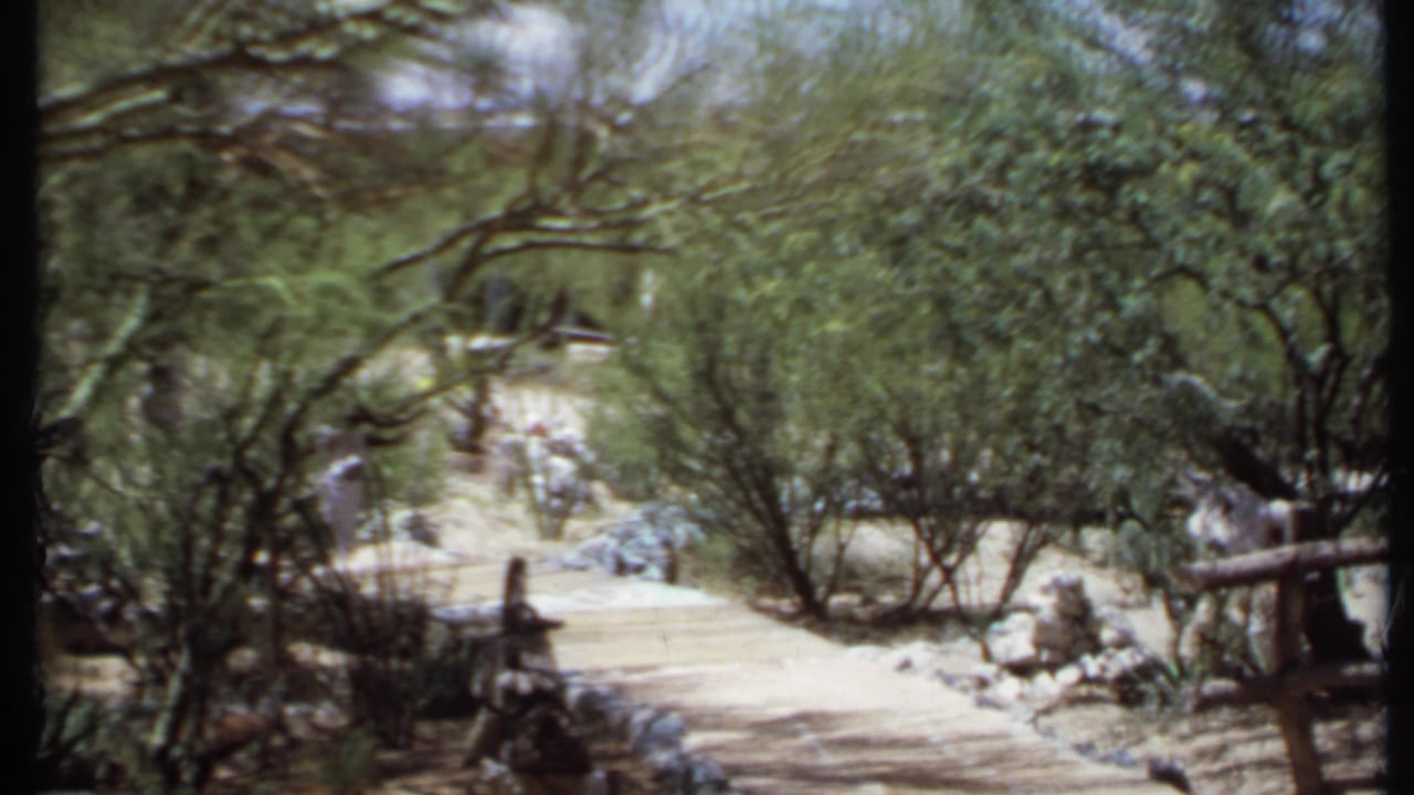1971 California 8mm frame showing a pale dirt path winding through desert vegetation near adobe-style walls.