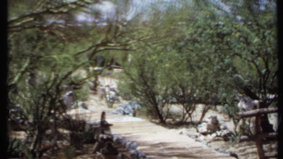 1971 California 8mm frame showing a pale dirt path winding through desert vegetation near adobe-style walls.
