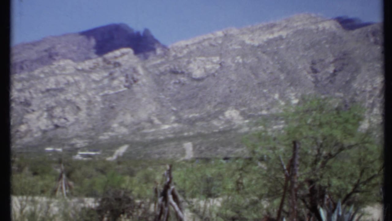 Rocky mountain range above desert shrubs and rough wooden posts under a blue sky.