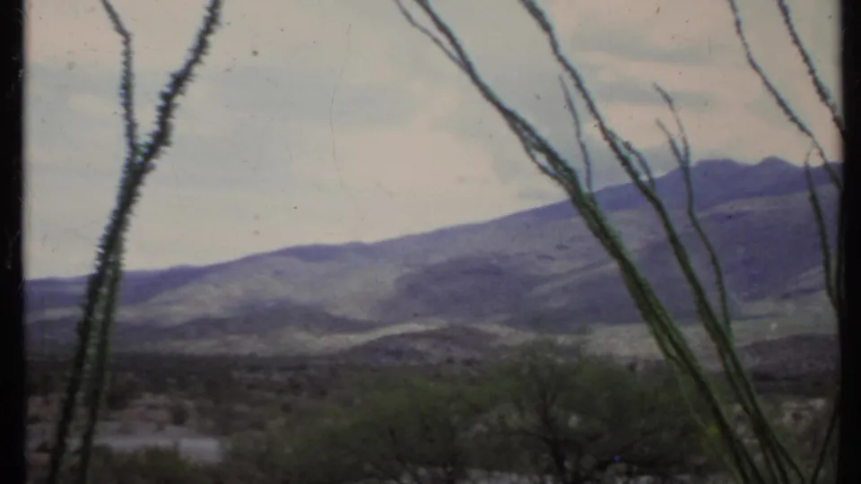 1971 California desert view with ocotillo-like stems in the foreground and hazy mountain slopes across the background.