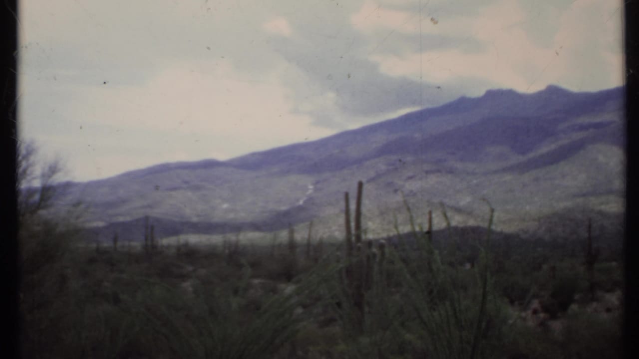 Desert shrubs and tall cactus forms in front of distant mountains under a cloudy sky.