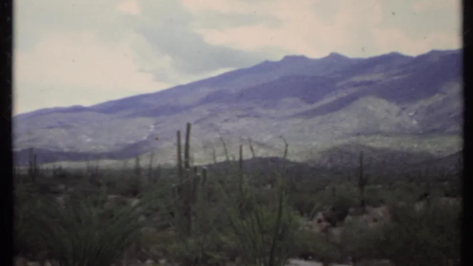 1971 California desert landscape on 8mm, showing cactus stems, scrub vegetation, and layered mountains in soft faded color.
