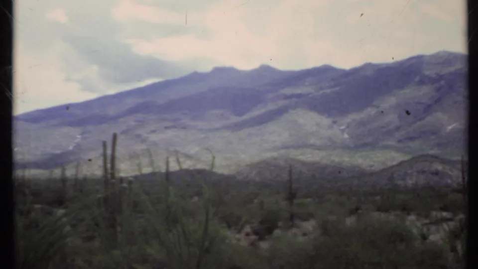 Faded 1971 8mm frame of California desert vegetation, columnar cactus forms, and a rugged purple mountain ridge.