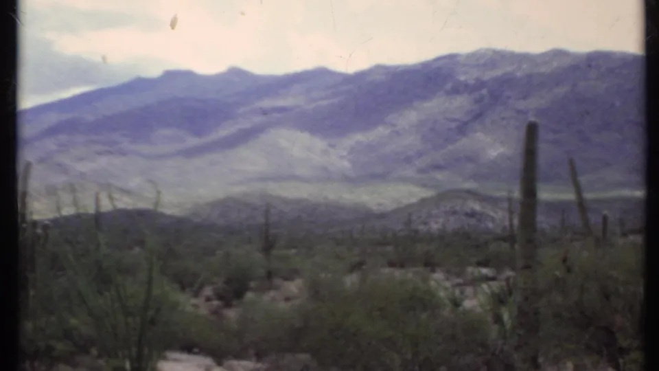 1971 8mm California desert view with a tall cactus at right, low brush, rocky ground, and mountains under cloud cover.
