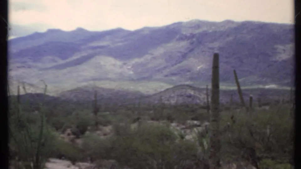 1971 California desert view with columnar cactus, low scrub, rocky ground, and mountains in soft 8mm color.