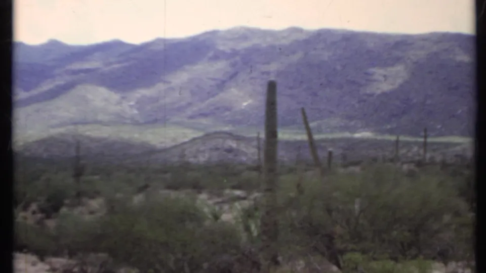 California desert landscape with multiple upright cacti, brush, and a rugged mountain backdrop on 8mm film.
