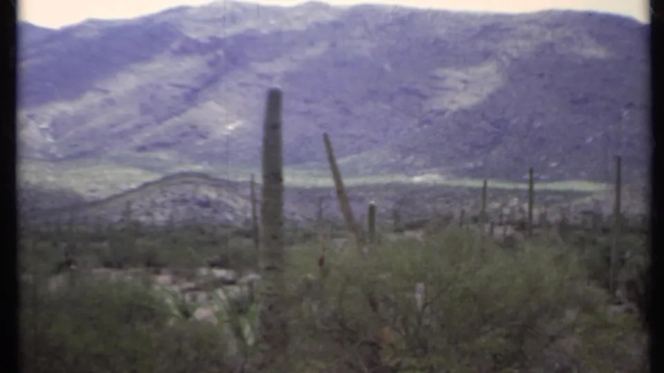 1971 California desert frame with a tall central cactus, scattered scrub, rocky ground, and blue-gray mountains.