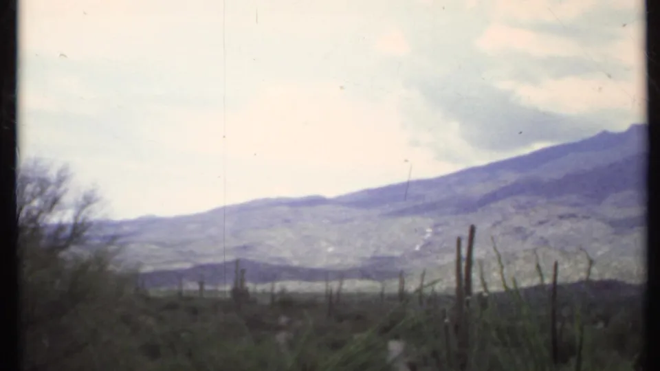 Wide California desert view in faded 8mm color, showing cactus silhouettes, scrub, open sky, and a distant mountain slope.