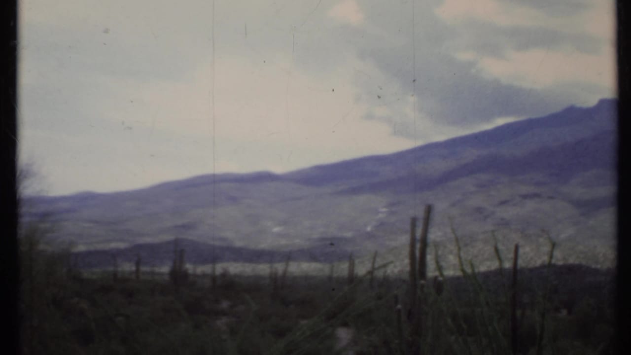 Distant mountain range under clouds with cactus stems in the foreground.