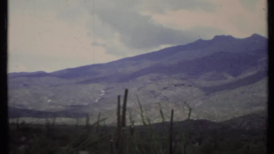 Distant California mountain ridge in 8mm home-movie footage, seen past cactus stems and low desert vegetation.