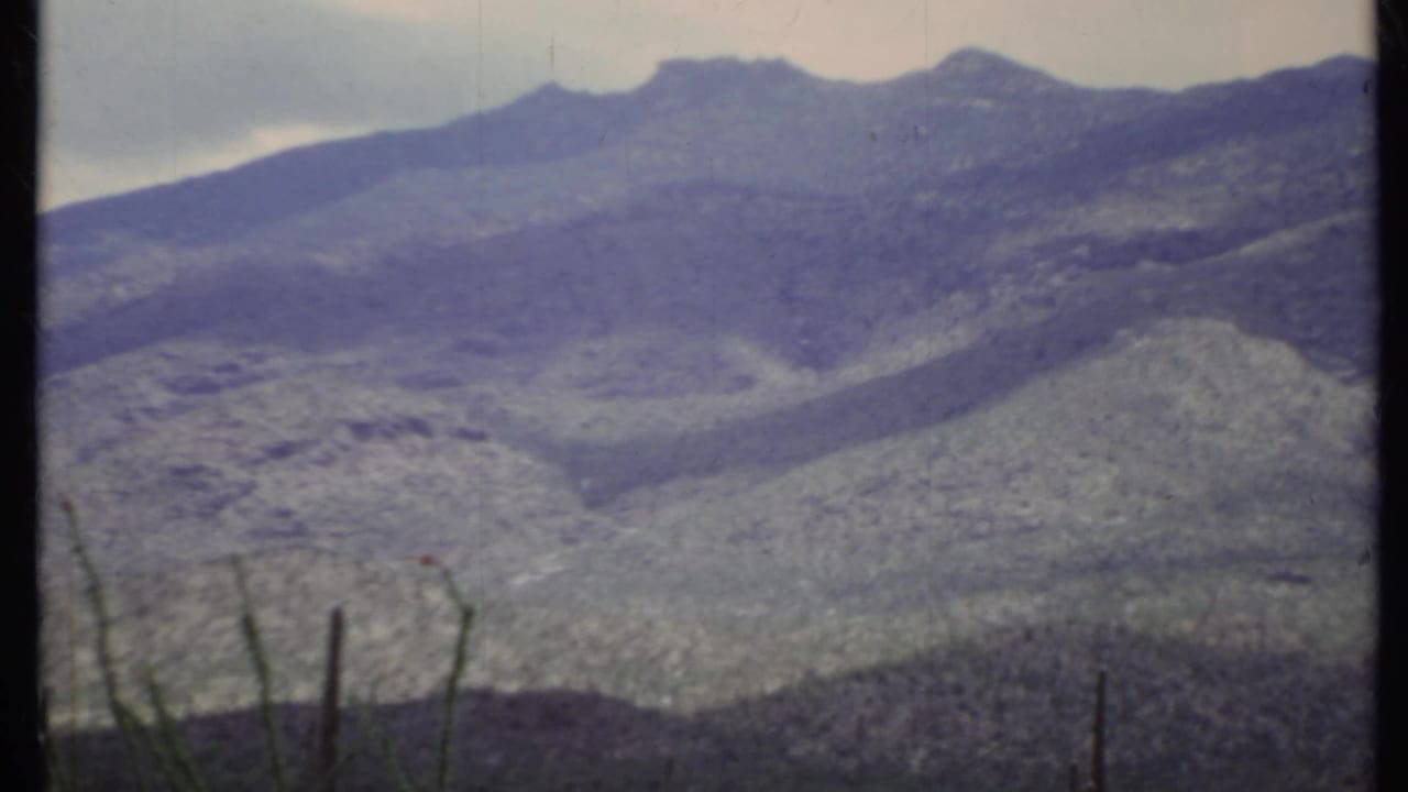 Layered mountain ridges under a pale sky with sparse foreground vegetation.