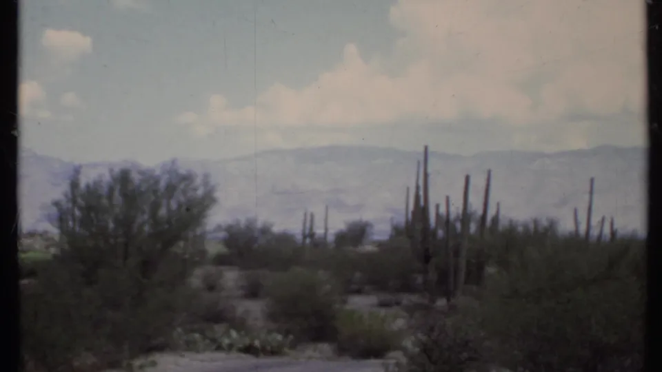 Faded 1971 8mm frame of California desert scrub and tall cacti with distant hills beneath pale clouds.