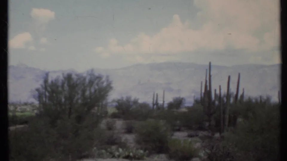 1971 8mm California desert frame showing a sandy track, scrub, columnar cacti, hazy hills, and faded color.