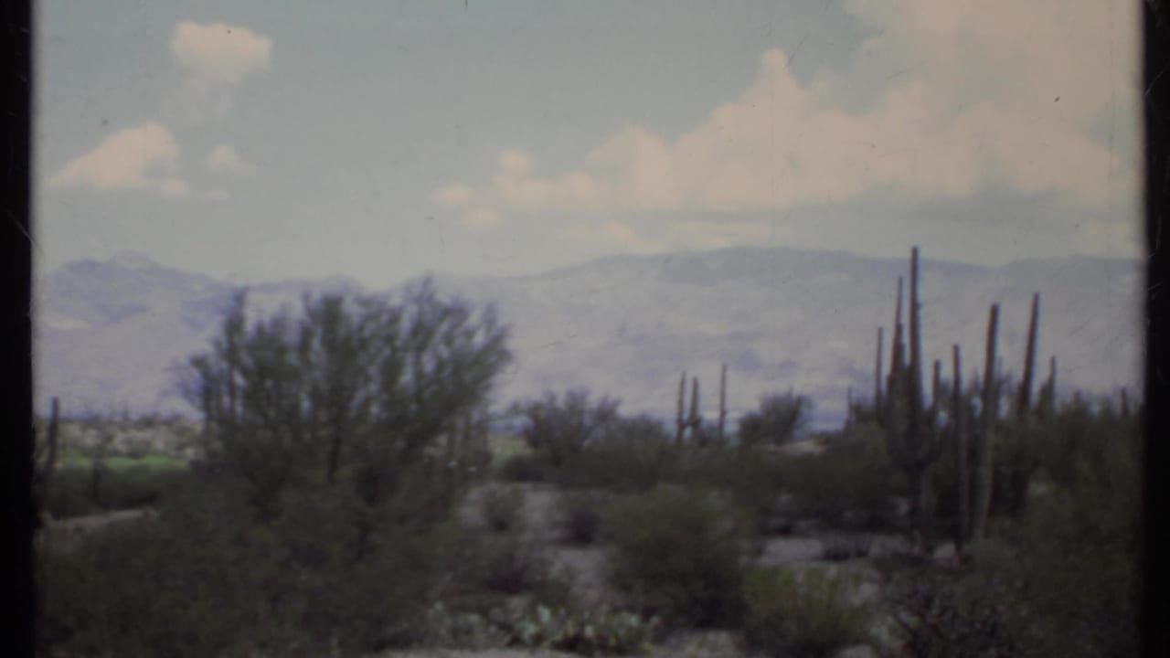 1971 8mm California desert view with cactus stands, low scrub, sandy ground, and distant hazy mountains beneath soft clouds.