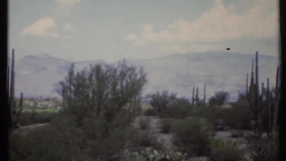 1971 California desert landscape showing tall cacti, scattered shrubs, muted green growth, and blue-gray mountains in the background.