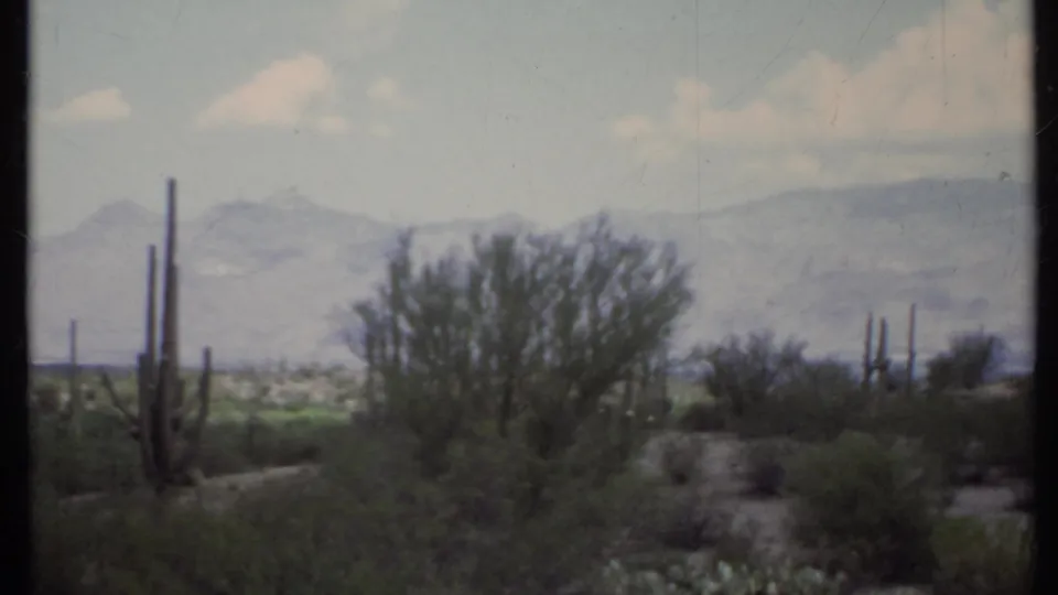 1971 8mm California desert frame with a tall cactus at left, a broad shrub, scrubby foreground, and mountains softened by haze.