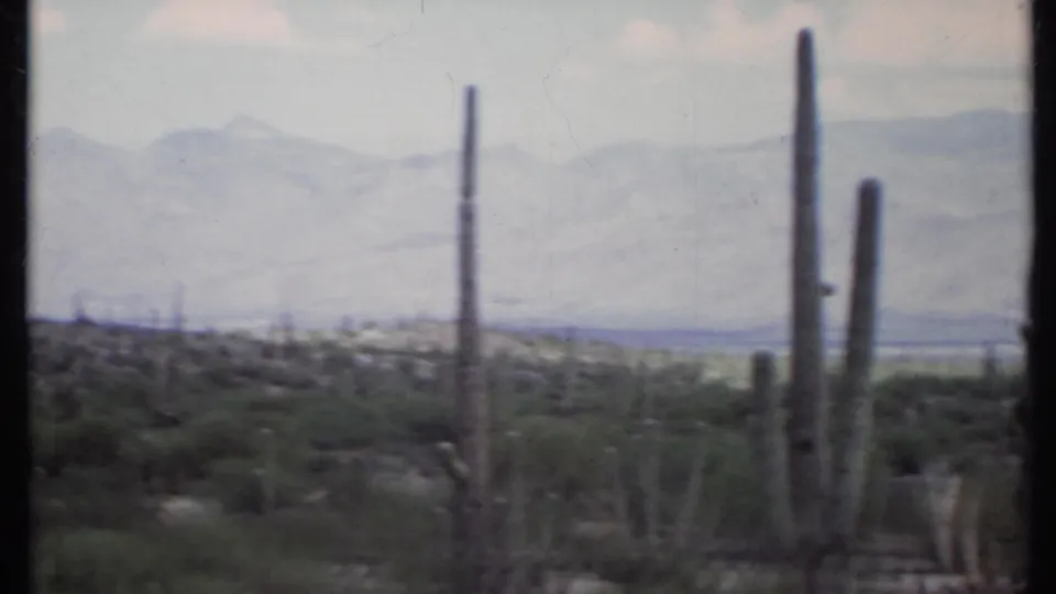 1971 8mm California desert view with tall cacti, low scrub, pale ground, and distant hazy mountains under a light sky.