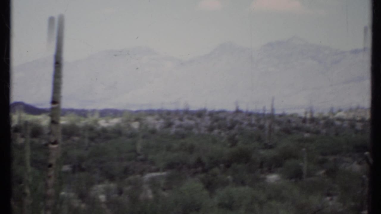 Cactus-covered desert plain with distant mountain ridges and dark film borders.