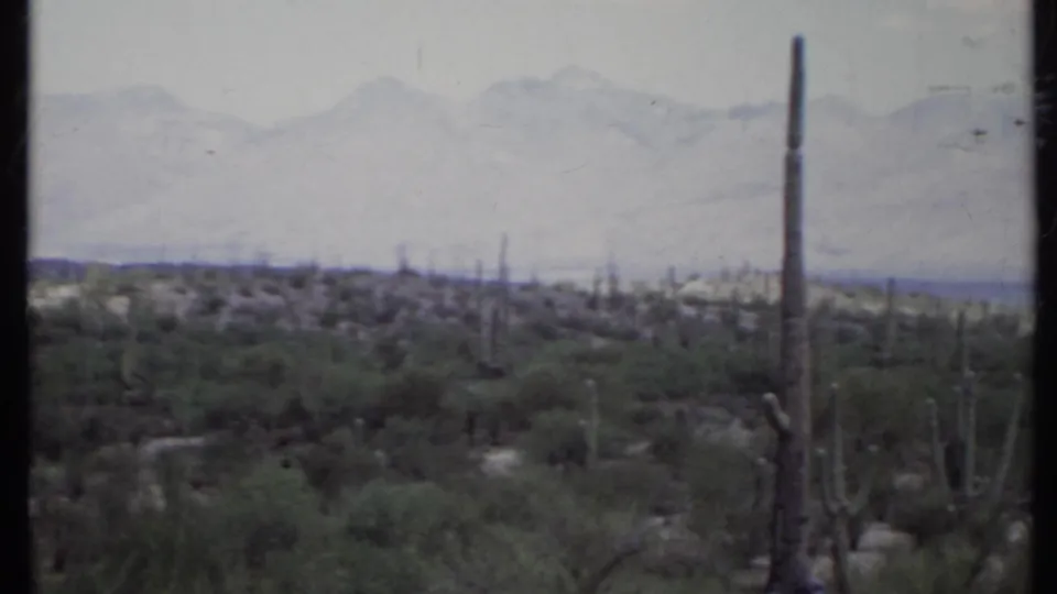 1971 home-movie view across a scrubby California desert field with numerous cacti and blue-gray mountains in the background.