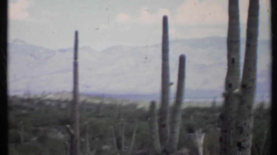 Foreground cacti rise near the camera as the 1971 8mm view looks across desert scrub toward hazy California mountains.