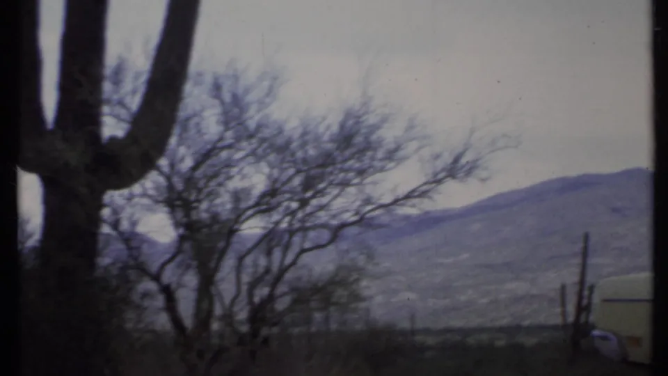 Cactus trunks and bare desert trees stand before hazy mountains, with part of a pale vintage car visible at frame edge.