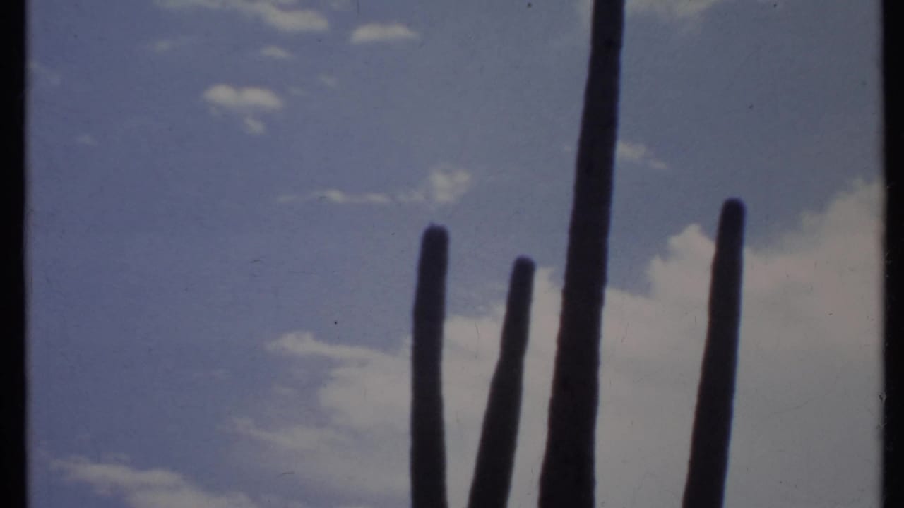 Tall cactus arms silhouetted against a blue sky with small clouds.