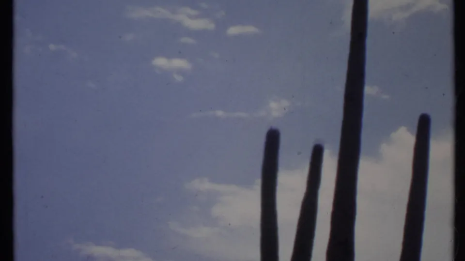1971 California home-movie frame with cactus arms partly framed by a dark film edge and clouded sky.