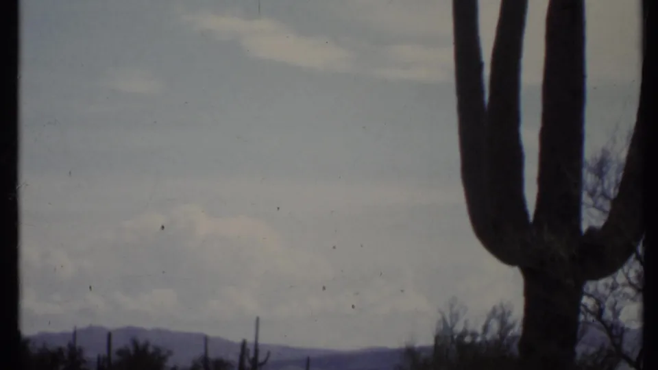 1971 California 8mm frame with a tall saguaro-like cactus, open sky, desert brush, and distant hills.