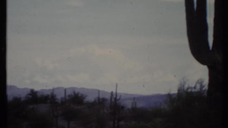 1971 8mm California desert view with a dark cactus trunk close to the camera, low shrubs, distant mountains, and a pale sky.