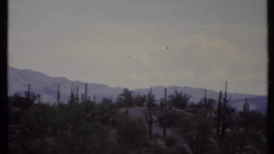 Wide 1971 California desert landscape with scattered tall cacti, low vegetation, distant ridges, and soft faded 8mm color.