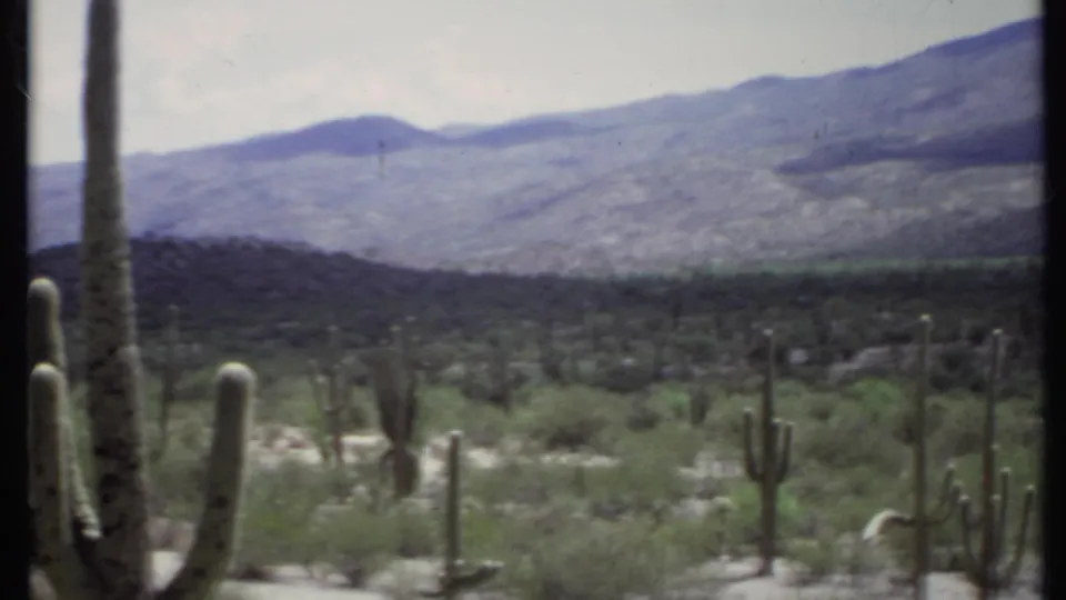 1971 home-movie view across a desert landscape with several tall cacti, low shrubs, sandy washes, and hazy mountains.