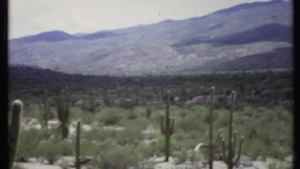 1971 8mm home-movie frame of a desert landscape in California, with tall cacti, scrub vegetation, and mountains in the distance.