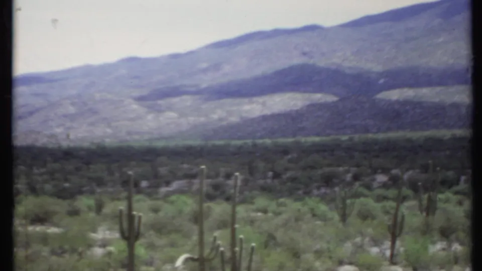 1971 California desert view on 8mm film, showing cactus forms, low green brush, and hazy mountain ridges beyond.