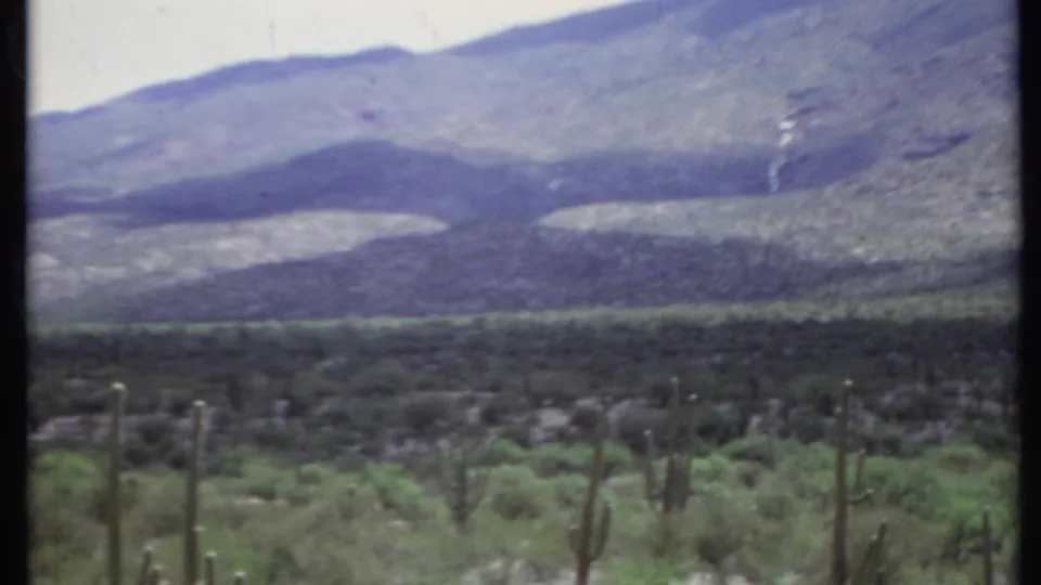 1971 8mm frame of California desert terrain, with cactus silhouettes, scrub growth, and a shadowed mountain ridge in the background.
