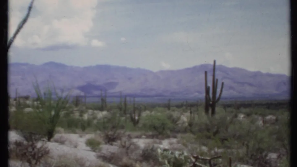 1971 8mm view of a California desert landscape with columnar cacti, low brush, distant mountains, and pale sky.