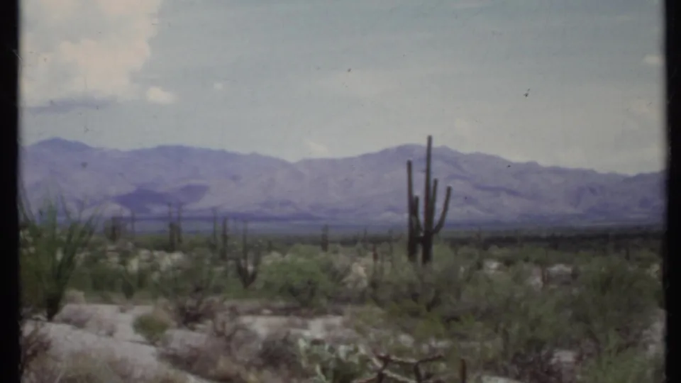 Wide 8mm frame of the California desert, with tall cacti, scrub vegetation, purple-gray mountains, and a lightly clouded sky.