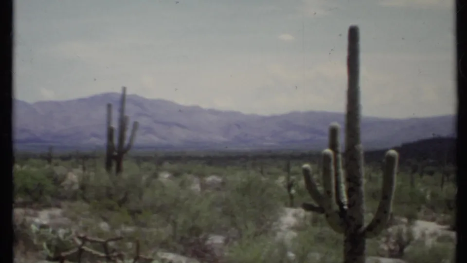 Close foreground cactus frames a 1971 California desert view with scrub vegetation, distant mountains, and soft 8mm color.