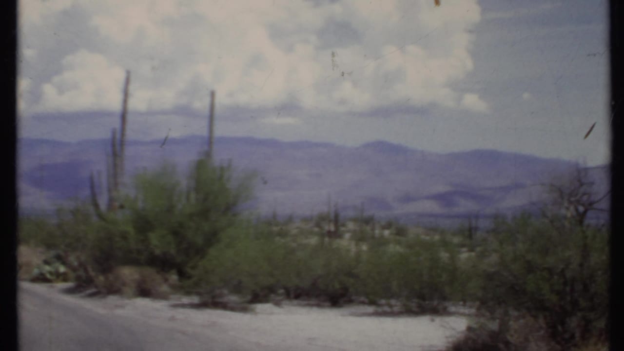 Desert roadside with saguaro cacti, shrubs, mountains, and cloudy sky.