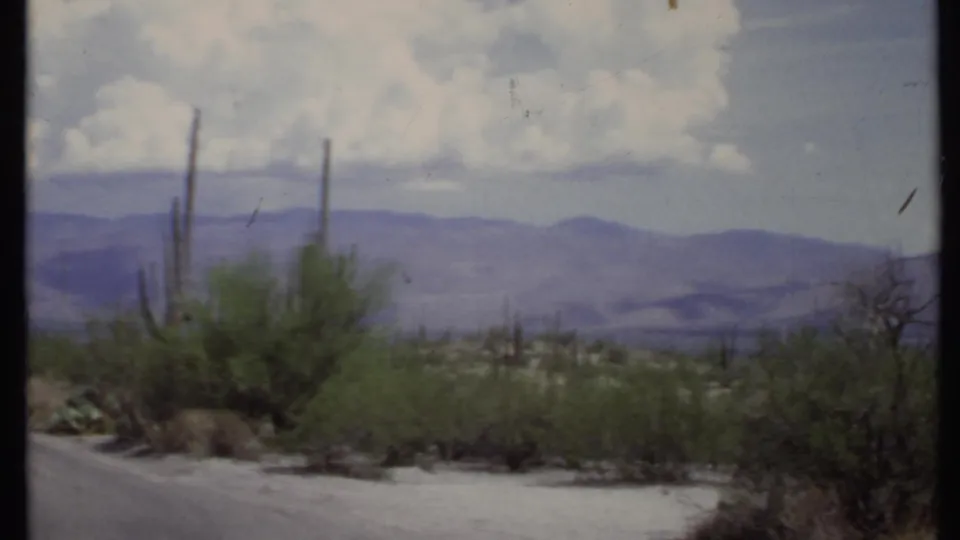 Moving 8mm view of a pale desert road edge, saguaro cacti, green shrubs, and purple-gray mountains in the distance.