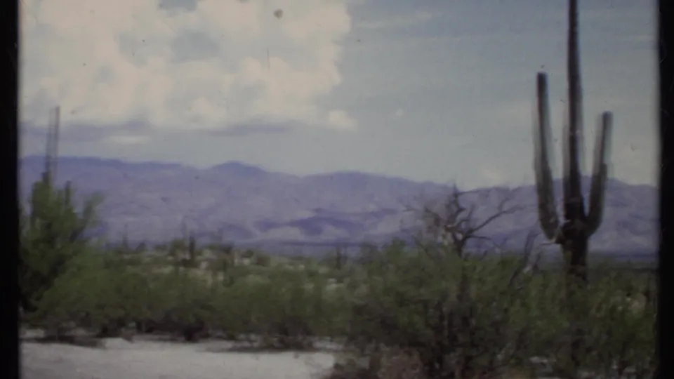 Soft 8mm frame showing a tall saguaro near roadside vegetation, dry branches, and mountains beneath a clouded sky.